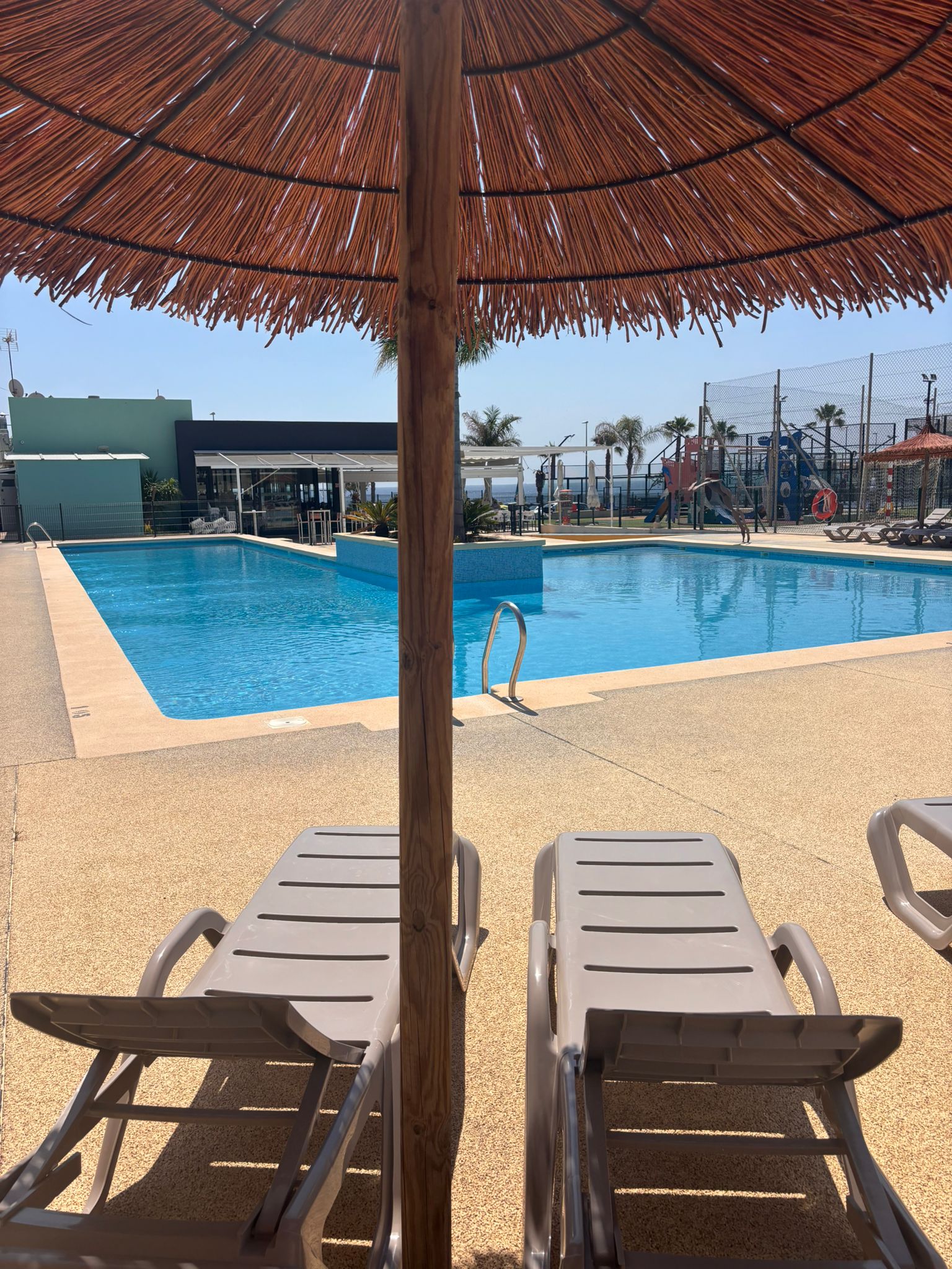 Hamacas y sombrilla junto a la piscina